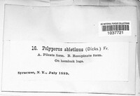Image Associated With the Occurence